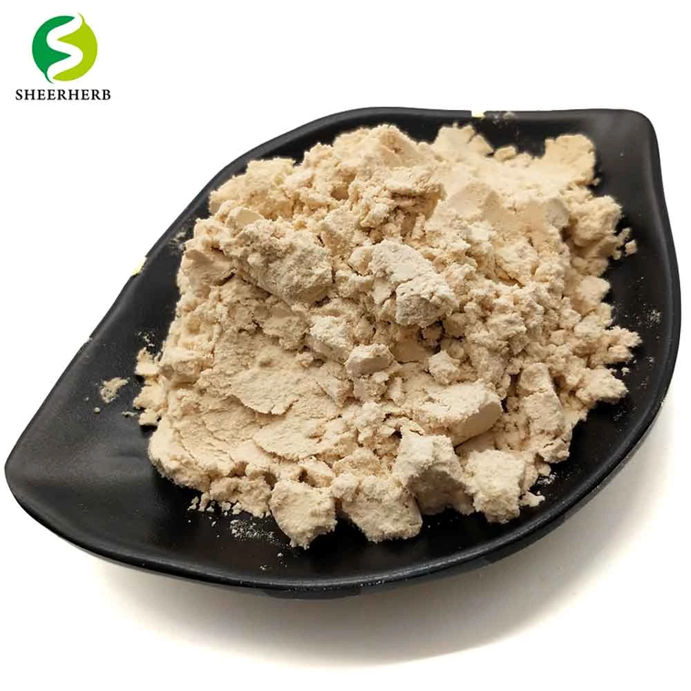 Organic Pumpkin Seed Protein 70% Powder with High Quality,Factory Supply 100% Natural Pumpkin Seed Protein/ Pumpkin Extract,Natural Organic Pumpkin Seed Powder