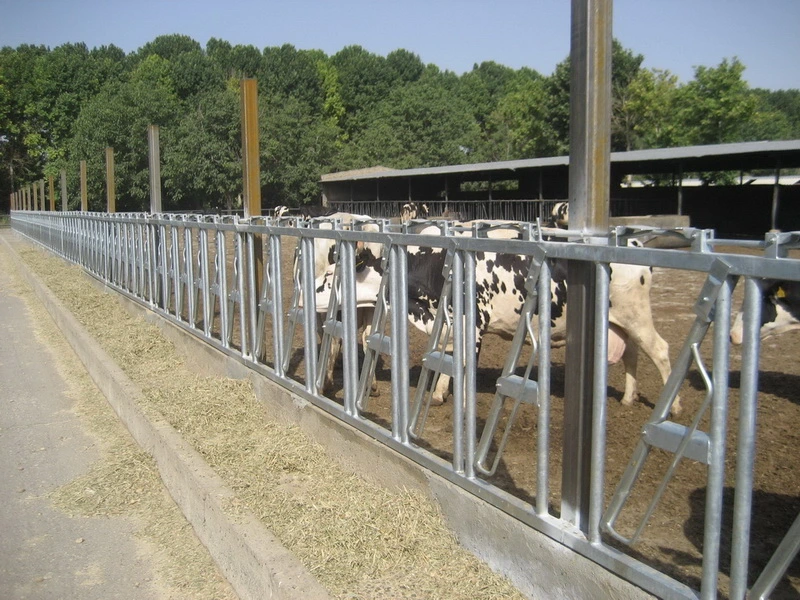 Hot Dipped Galvanized Cattle Headlock Panels