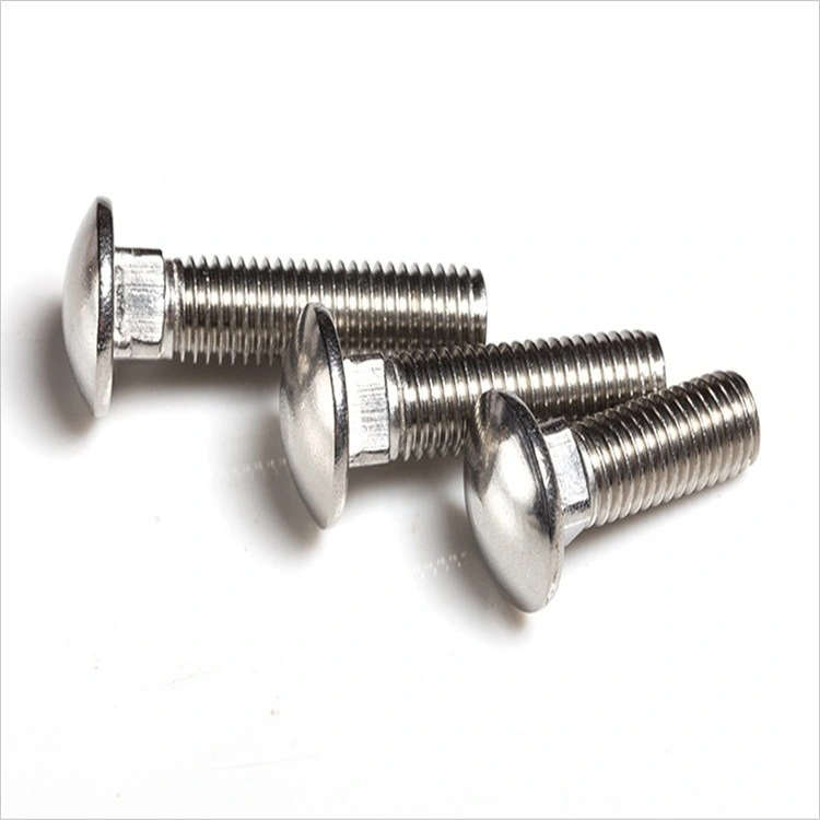 Stainless Steel 304 Carriage Bolt DIN 603 316 Coach Bolt A2-70 Rhsn Bolt A4-80 Rhsn Bolt