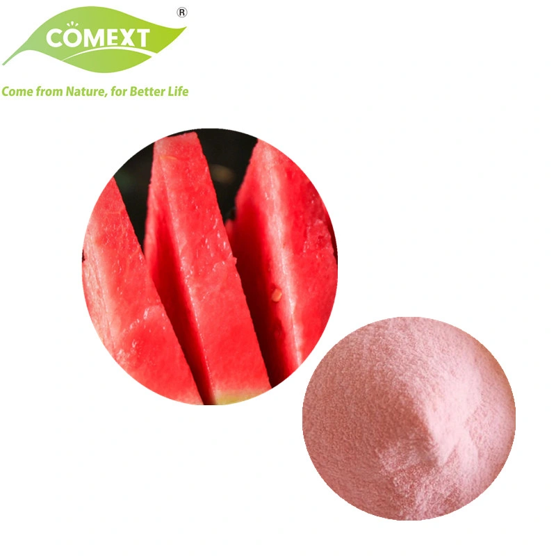 إضافات غذائية من المصنع إلى مستحضرات كومانتر 100% من مسحوق فواكه Pure Watermelon/عصير ميلون مسحوق