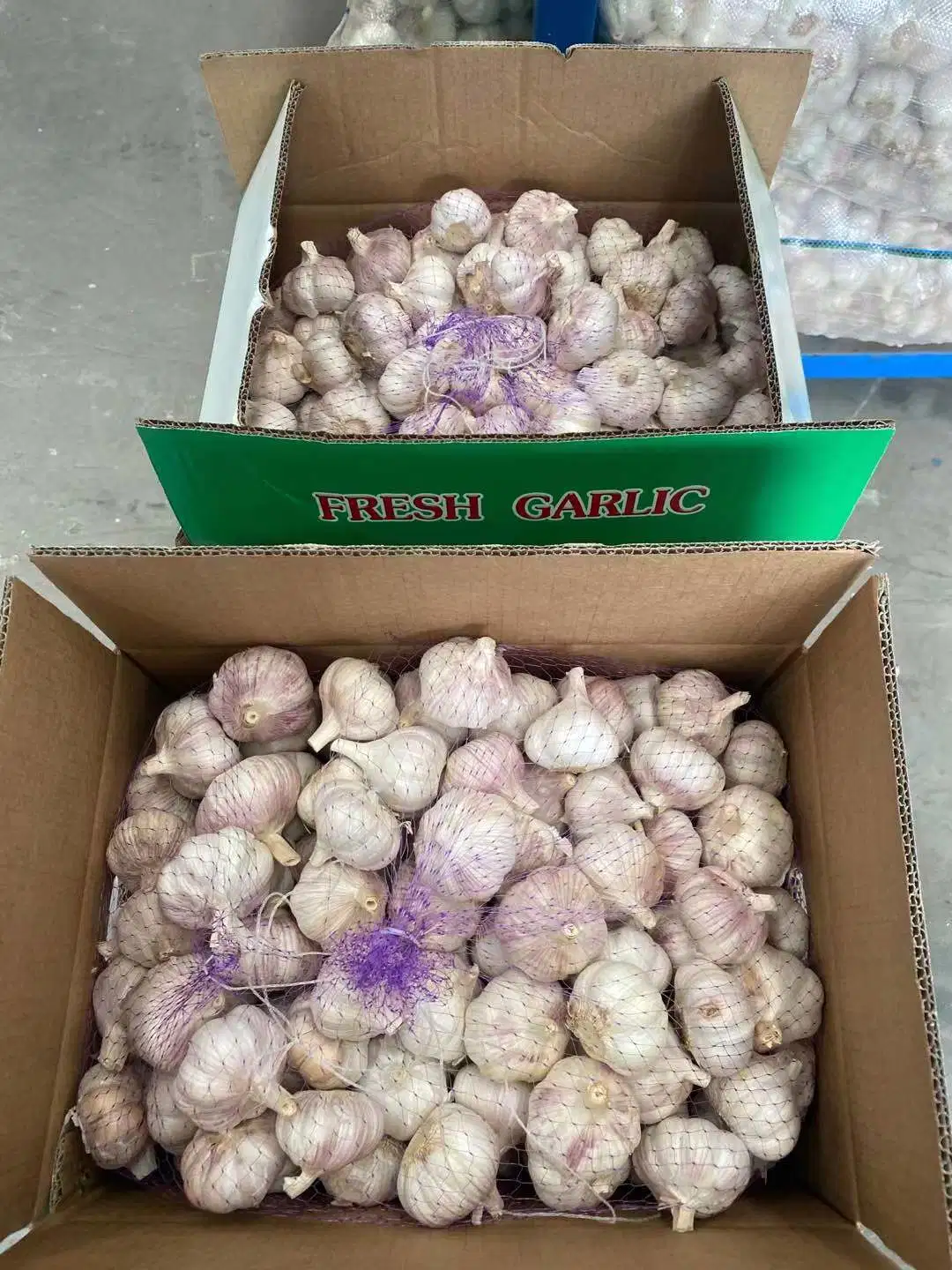 Chinesische Frischen Knoblauch Neue Ernte 2023