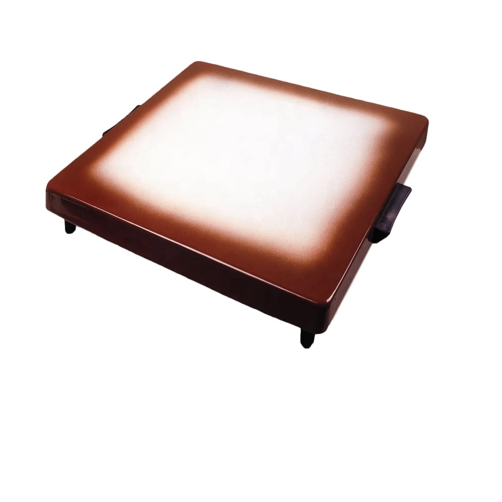 Jewish Sabbath Electric Warming Tray Shabbos Safe Hot Plate