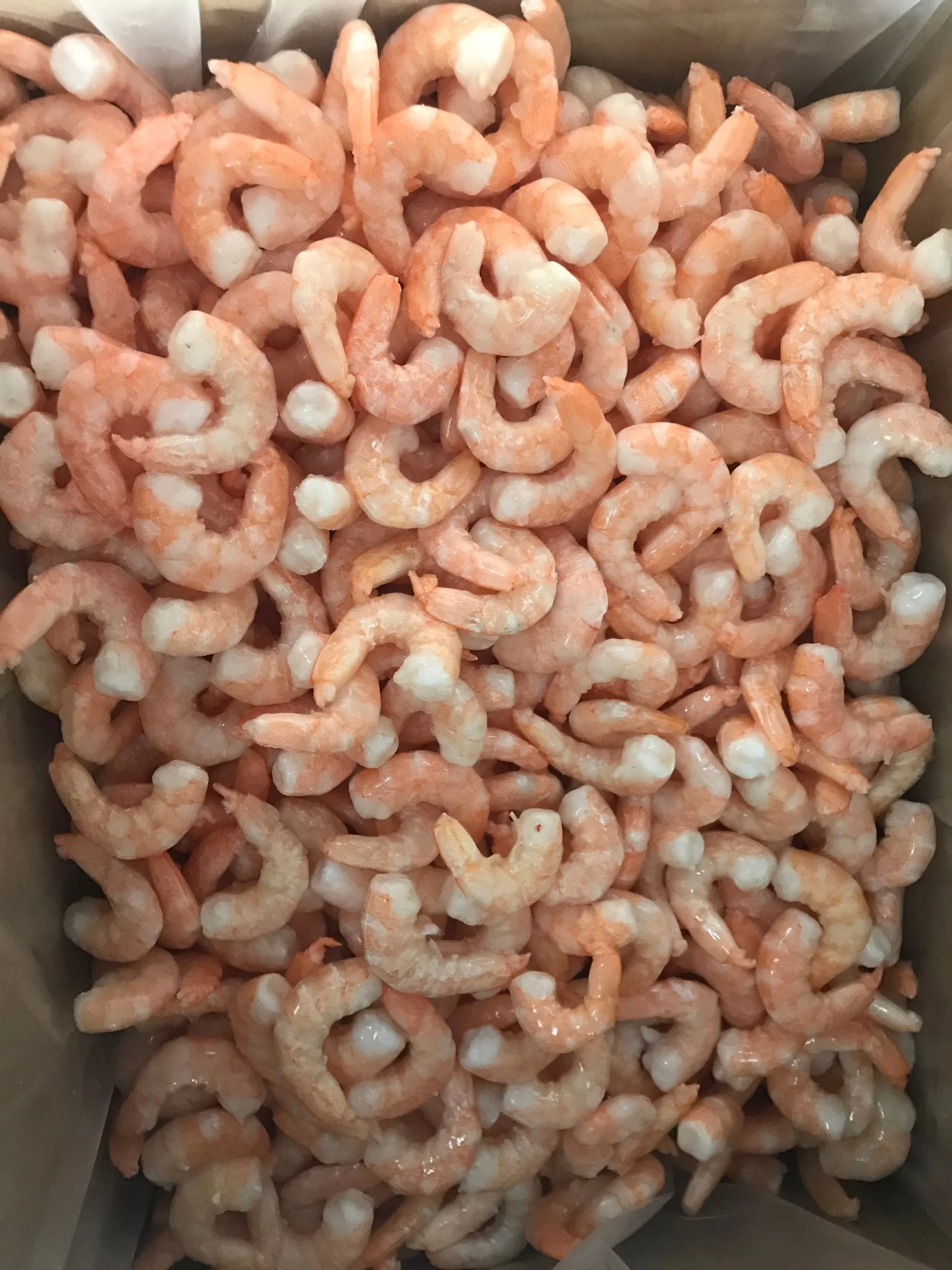 Frozen Vannamei Shrimp Cooked Pd