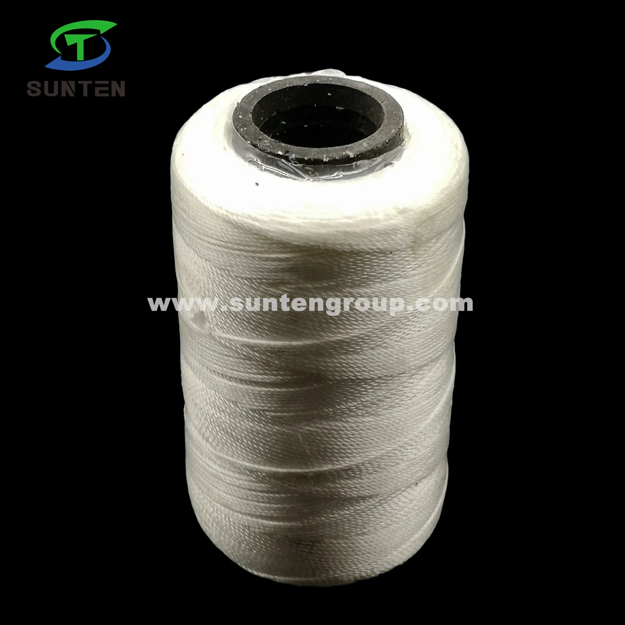 Made in China/Fishing Net Line/EU Standard High Tenacity PA/PE/PP/Polyester/Nylon/Polyethylene Plastic Twisted/Braided