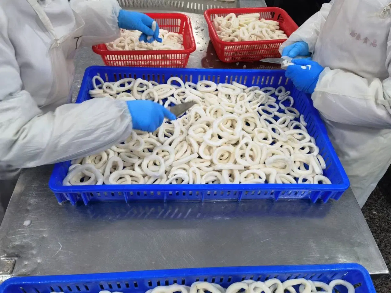 Frozen Top Quality Marine Food Illex/Gigas Squid Pota Calamari Sotong Ring