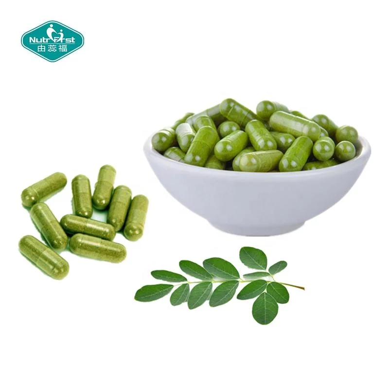 Produits de perte de poids Diet extrait de fines herbes Moringa Oleifera feuille Supplément de fines herbes organiques en capsules d'extraits