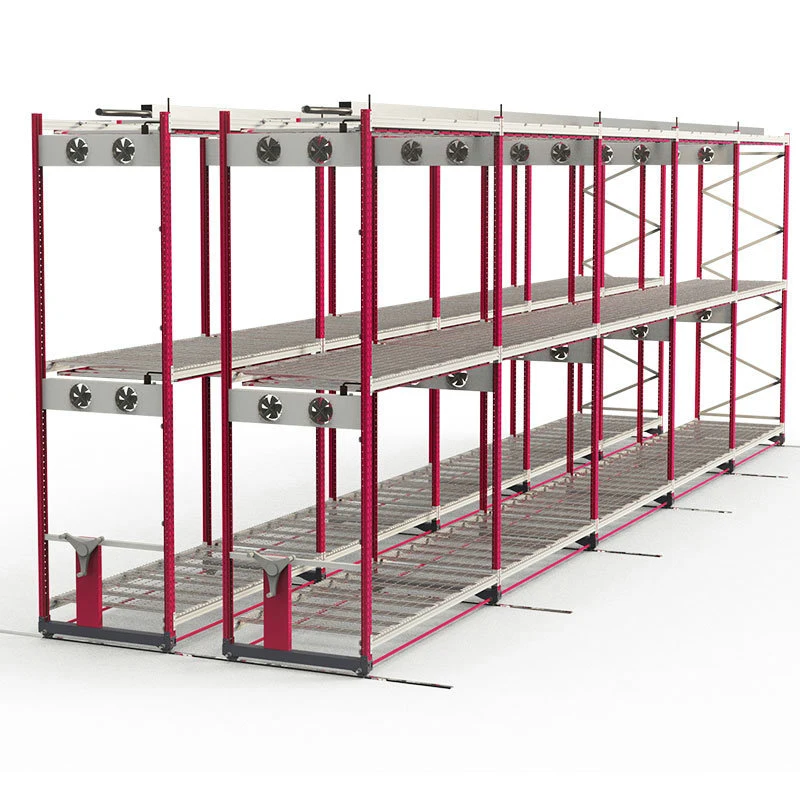 Grow Rack Double Layer Vertikal Grow Table Rack Hydroponisch Wachsend System Im Innenbereich