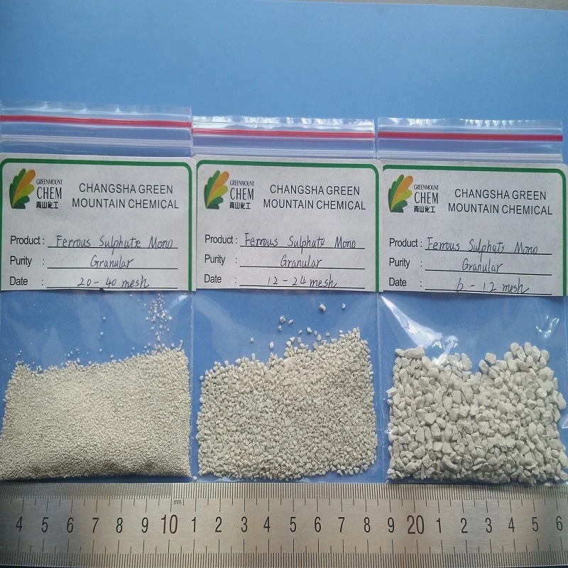 Ferrous Sulphate Mono Feso4.1H2O Fe >30% CAS 13463-43-9 Feed Additive