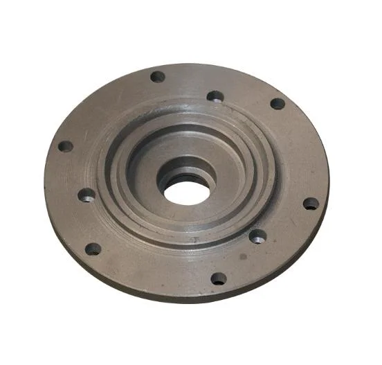 OEM Wheel Sprocket Cyclodrive Cycloidal Gear Spare Part of Gearbox