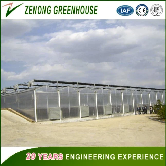 Commercial Used Intelligent PC Sheet Greenhouse for Vegetables/Crops/Fruits Growing in Clean &amp; Healthy Environment