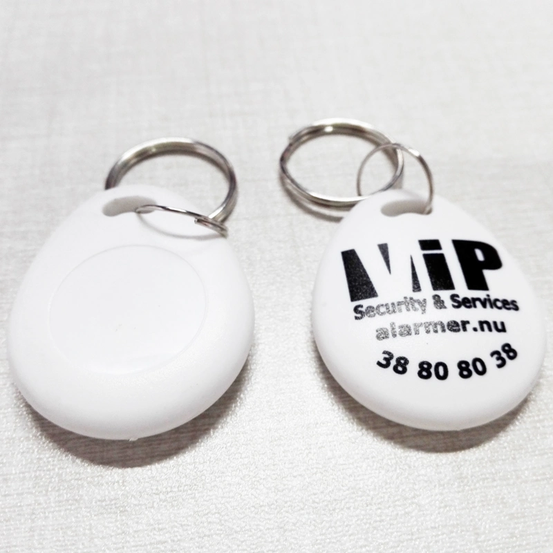 Colorful Hot Sale RFID Keyfob Tk4100 125kHz Proximity Key Tags