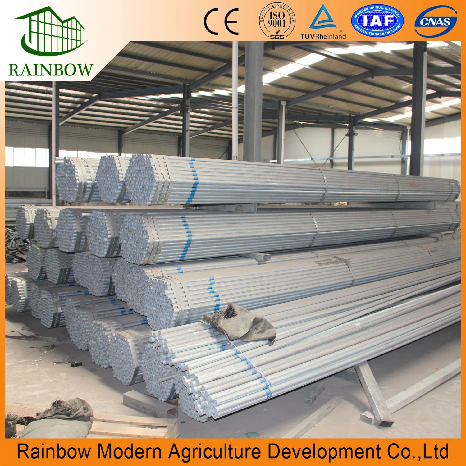 Modern Rainbow Design Multi-Span Po Film Greenhouse