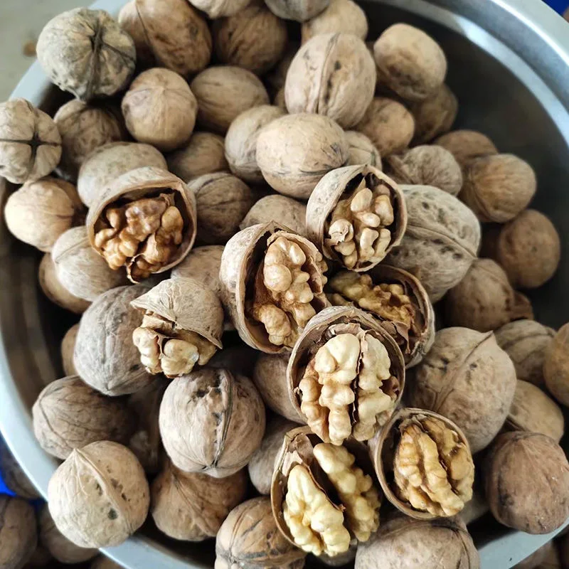 Premium Quality 100% Natural Walnuts for Wholesale/Supplier Walnut Kernel in Bulk