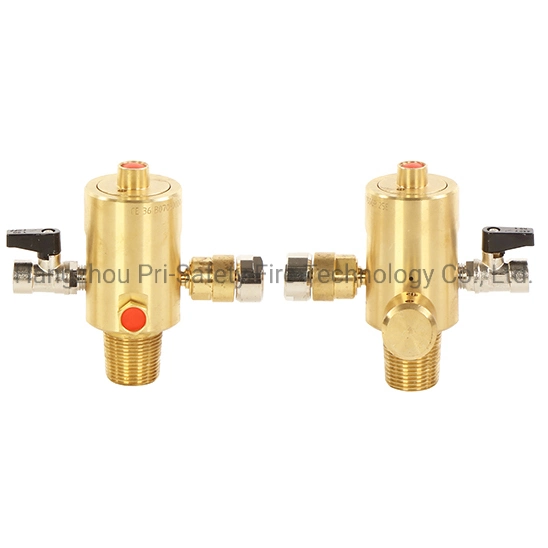 Dhp CO2 Valve for Egypt Market