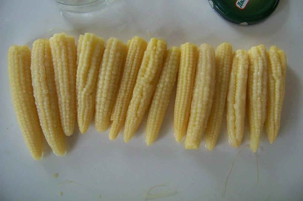 425g Canned Baby Corn Cut by Cheap Price