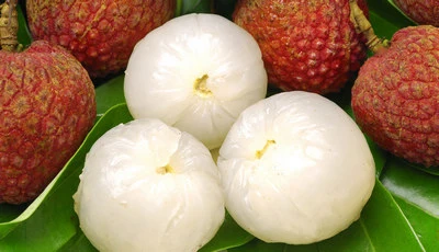 Frutas Enlatadas Lichia Doce Enlatada em Xarope Leve/Pesado com Litografia em Latas Verdes de Abertura Fácil - Melhor Produto em Fujian.