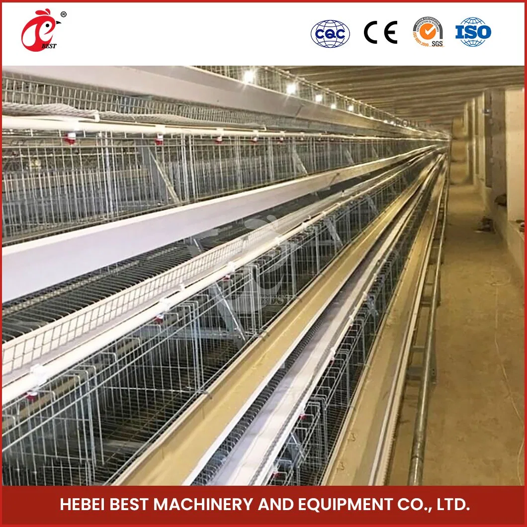 Bestchickencage una capa Tipo jaula China Chicken Shop capa jaula Fábrica Custom Tipo de batería capa de reproducción Configuración de jaula Chicken Coop Mobiliario de Casas para mascotas