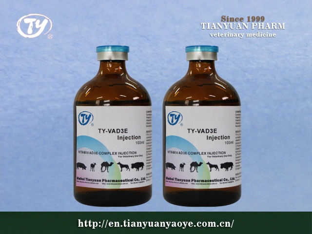 GMP Approved Compound Vitamin Injection for Livestock Use