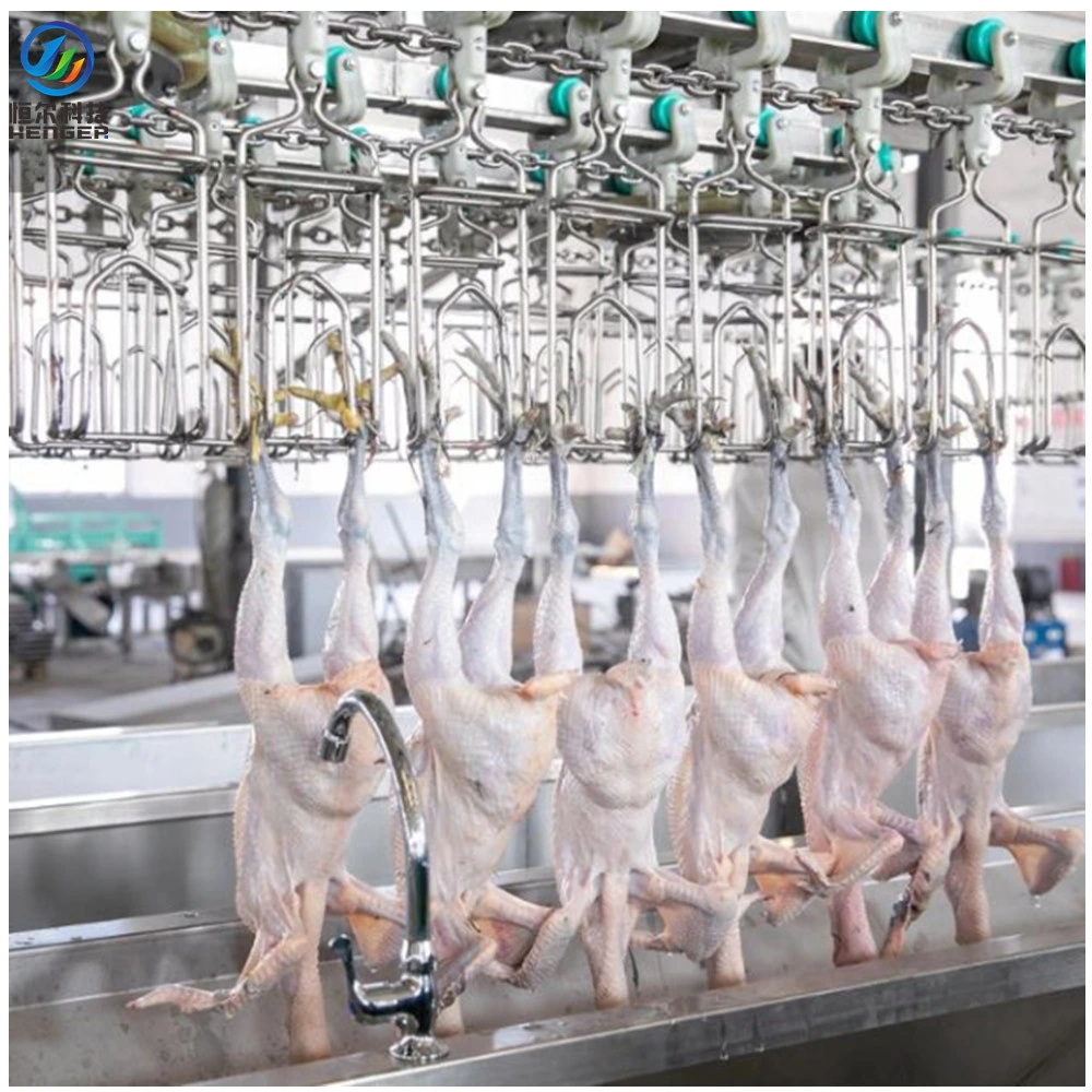 Small Chicken Plucker Machine Slaughtering Equipment