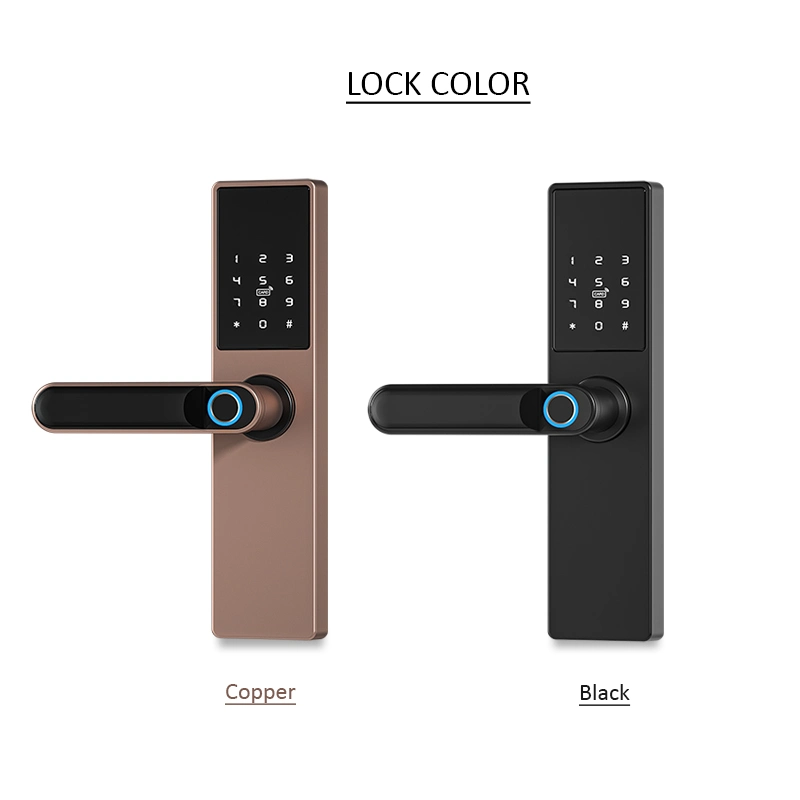 Aluminum Alloy 5050 Mortise Keyless Apartment Safe Door Smart Lock