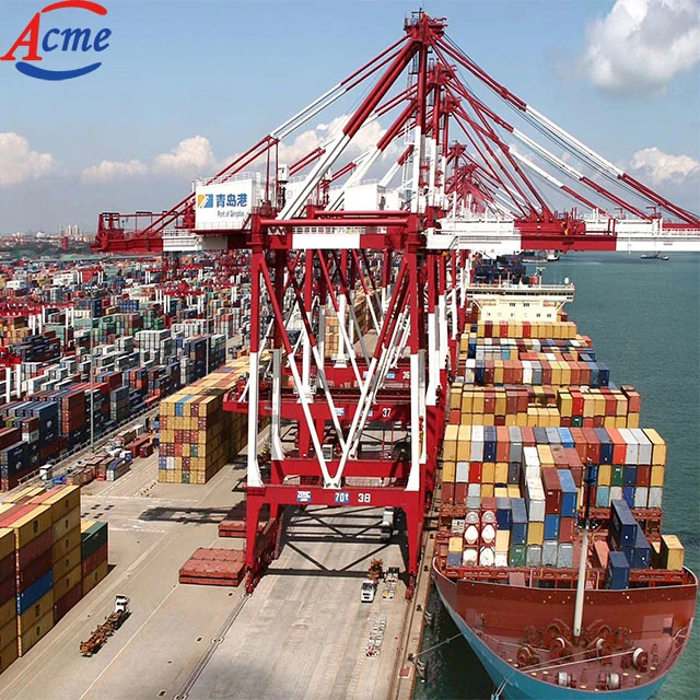 Best Sea Freight Forwarder From China to England France Germany Italy Switzerland Shipping Agency