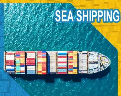 China Cheap Sea Freight International Shipping Forwarding Agent in Shenzhen to USA Canada UK Italy Mexico Germany France DDP