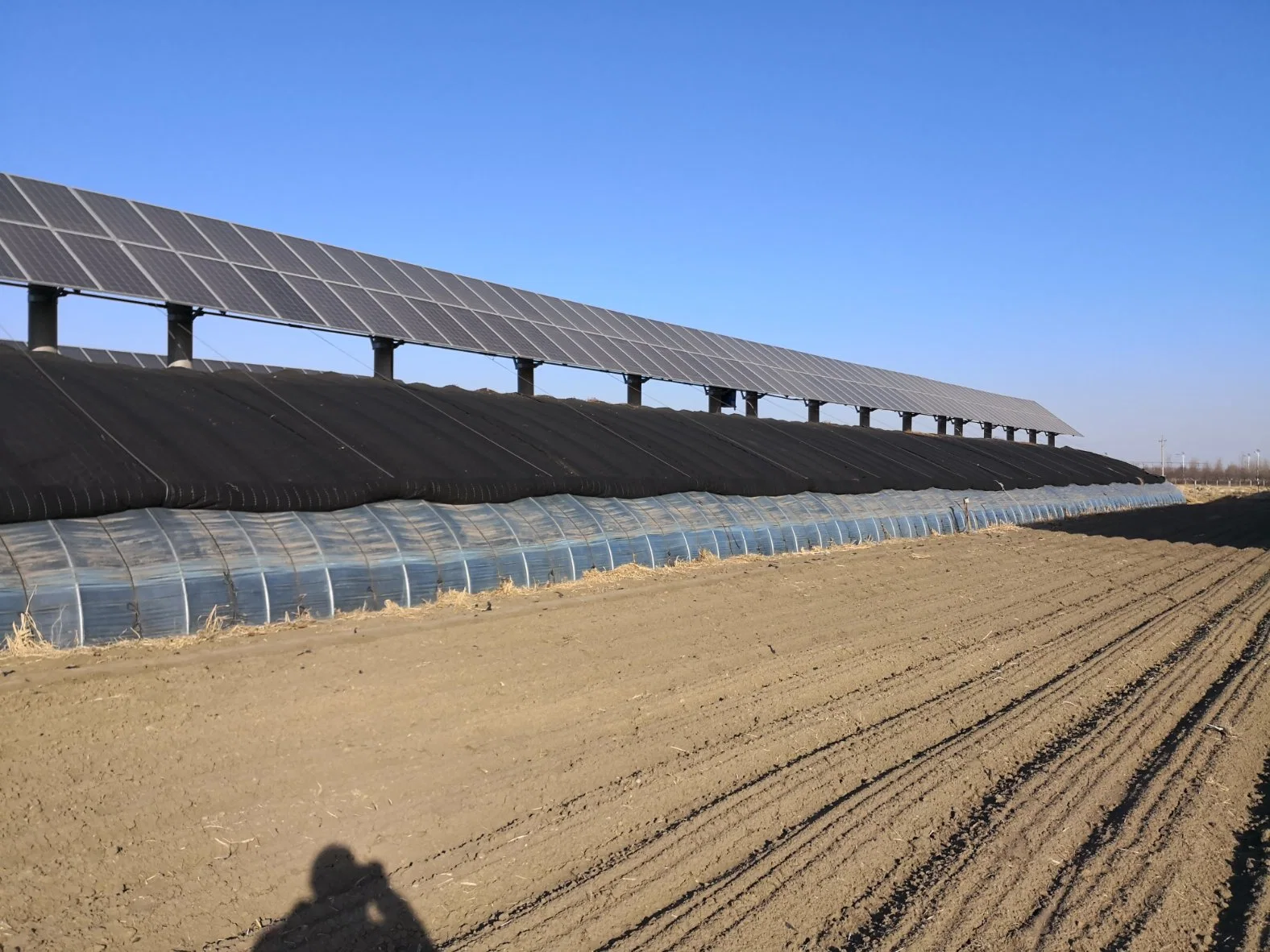 Estufa Fotovoltaica (PVG) / Estufa de Filme Solar Estilo Chinês com Cobertor de Isolamento Térmico