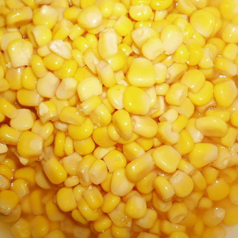 Canned Sweet Corn Whole Grain in Brine 800g