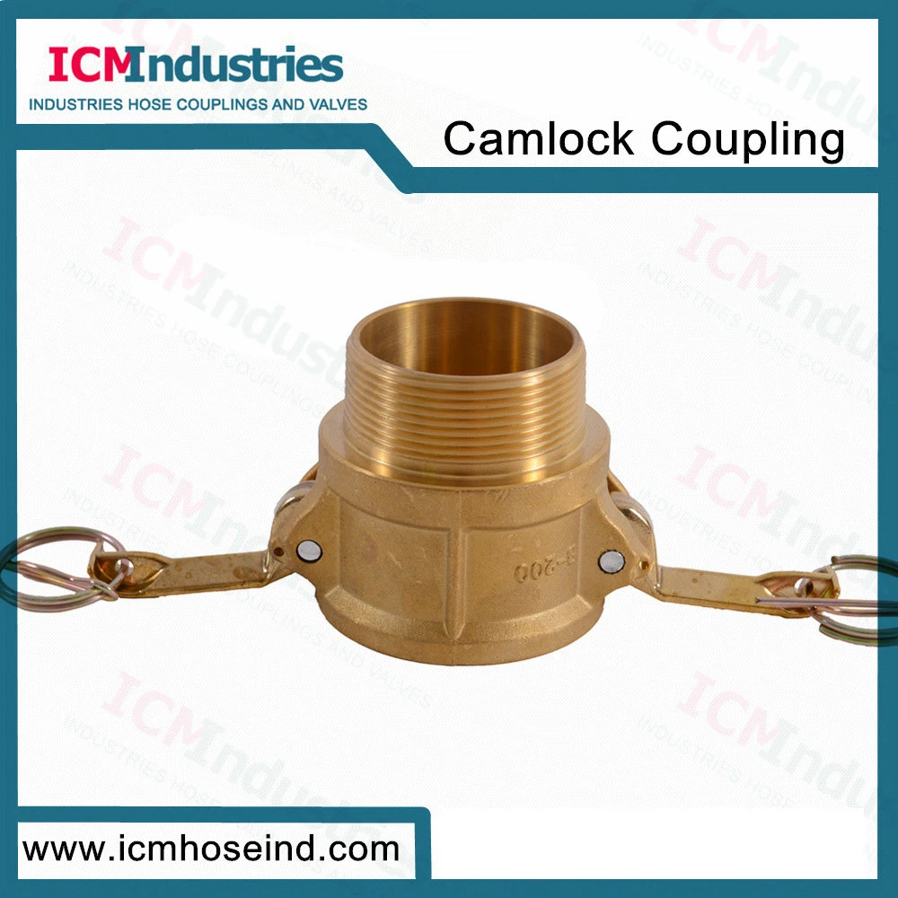 Forged Brass Hydraulic Quick Disconnect Coupling