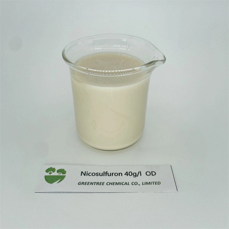 CAS 111991-09-4 agroquímicos herbicida nicosulfuron 40 G/L OD