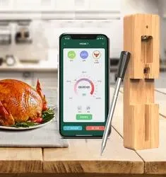 FM200 nuevo carne realmente inalámbrico Bluetooth Smart Termómetros APP Temperatura en la pista para cocinar