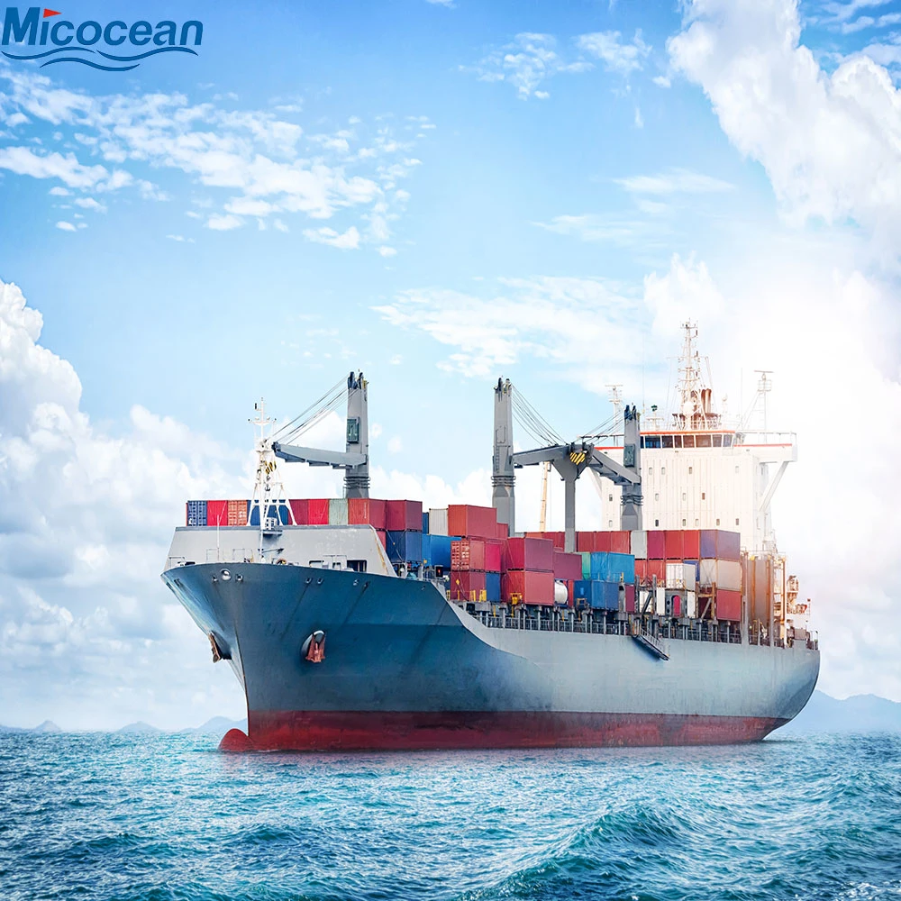International Logistics Service Sea Freight Transportation Shipping Cargo From Qingdao/Shanghai to USA