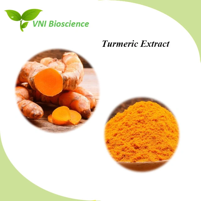 Kosher & Halal Certified 100% Natural Cucumin 95% Turmeric Extract