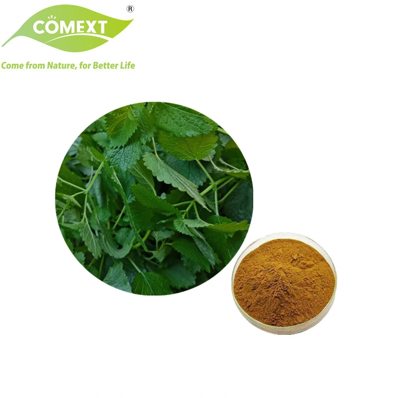 Comext ISO Factory Lyphar Supply Directly 100% 5: 1 10: 1 20: 1 Natural Melissa Extract Lemon Balm Extract