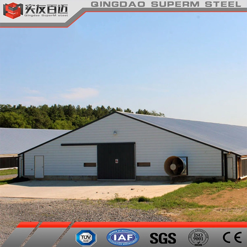 Prefab Layer Chicken House Steel Structure Poultry Farm with Automatic Equipment