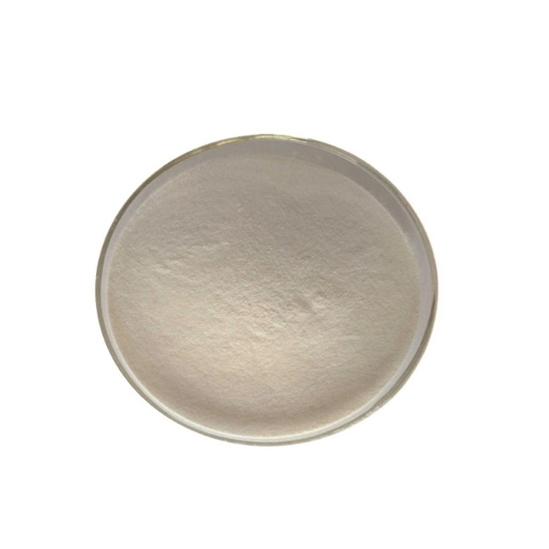 Food Grade Fungal Alpha Amylase Power for Baking