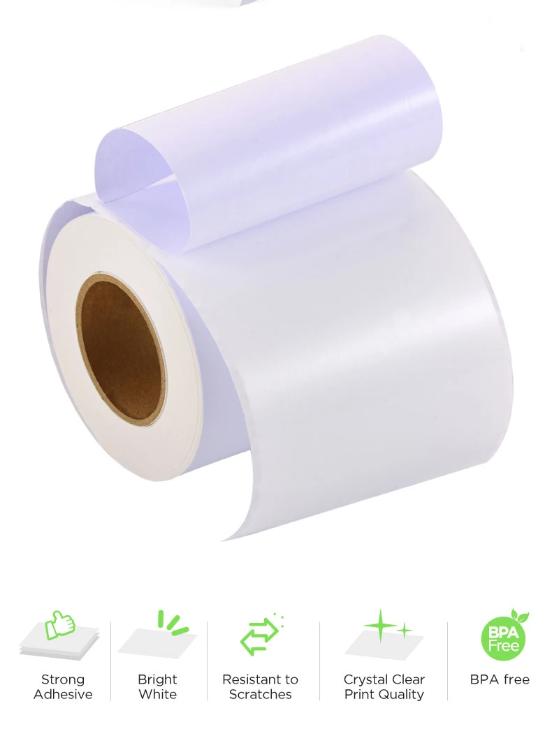 Accept Soft Rightint Carton OEM Shanghai Pre-Cut Label Rolls Paper