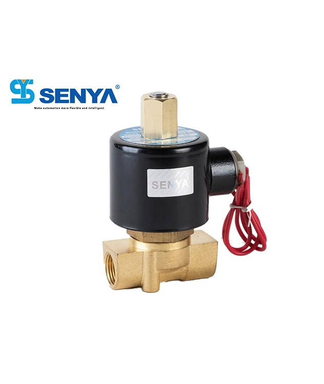 Ningbo Senya Chinese Leading Manufacturer Hot Sale 2wk Series Great Quality Brand New Top Level Valve 2/2 Ways Direct Acting Reliable Solenoid Valve