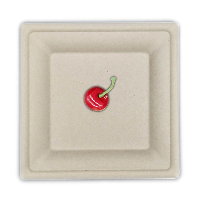 Eco Friendly Biodegradable Disposable Compostable Square Dish, Sugarcane Bagasse Square Plate