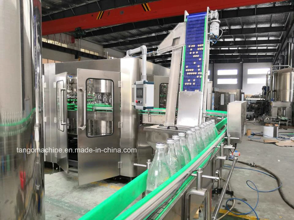 Automatic Pet Bottle Liquid Beverage Filling Packing Filler Bottling Machine