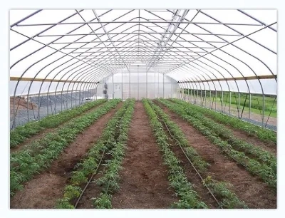 Agriculture Farm Single-Span Film Greenhouse