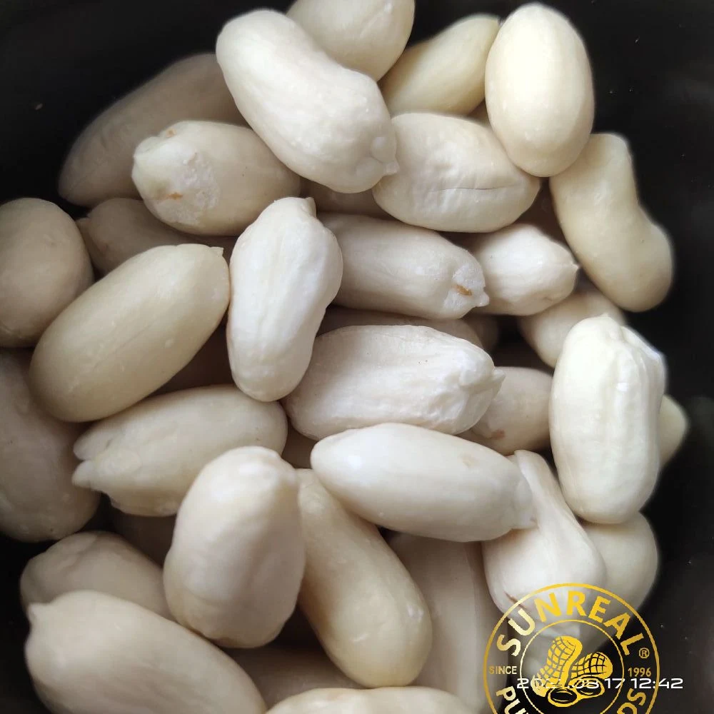 Best Materials/Raw Blanched Peanut Kernels/Virginia/High quality/High cost performance 