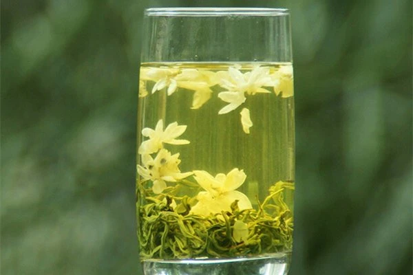 Organic Pure Natural High-Quality Gift Carefully Selected Jasmine Green Tea