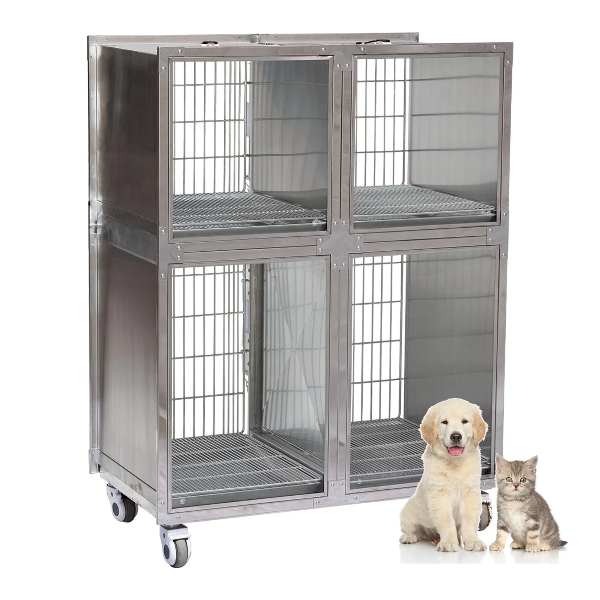 in-V04 Animal Stainless Steel Display Cage Pet Carriers Cat Dog Home for Vet Clinic