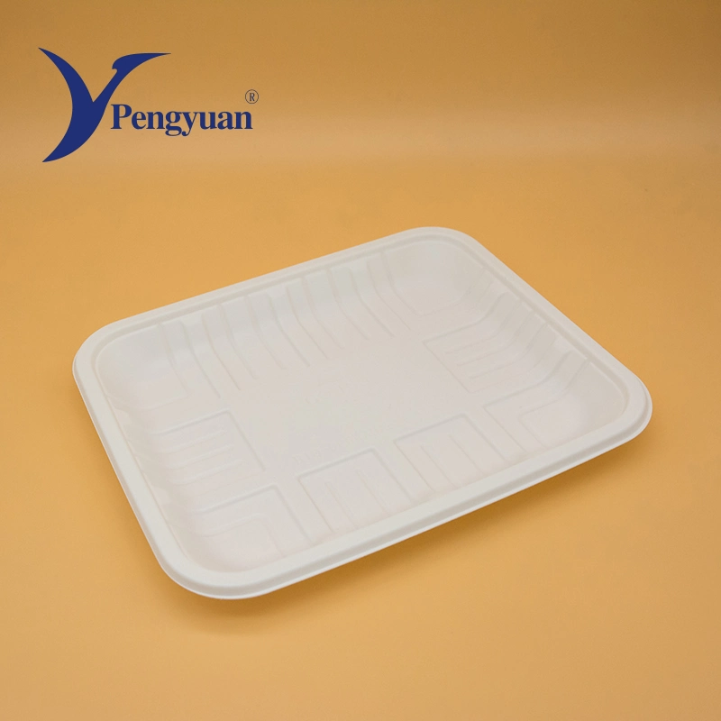 Corn Starch Tableware Biodegradable Party Food Tray