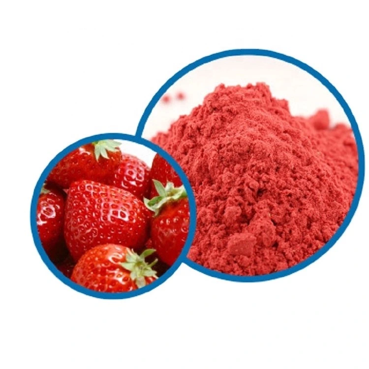 Commerce de gros Fd Lyophilisation de fraises Fruits en poudre poudre en provenance de Chine fournisseur 20, 40, 60 mesh