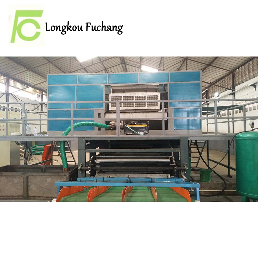 Waste Paper Pulp Moulding Plant Small Egg Tray Making Machine