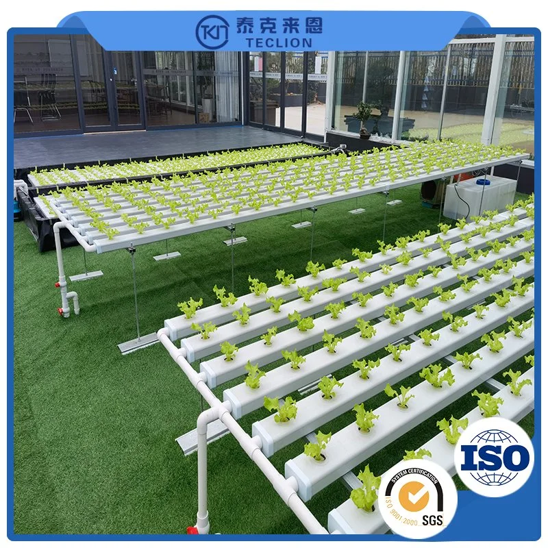 Commercial Greenhouse Planting Soilless Cultivation Hydroponics System Manufacturer Direct Sales