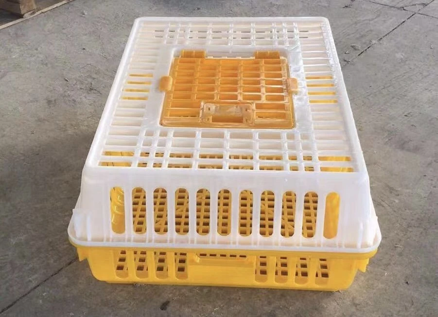 Colorful PE Raw Material Large Transport Basket Crate Box for Poultry Live Chicken Duck