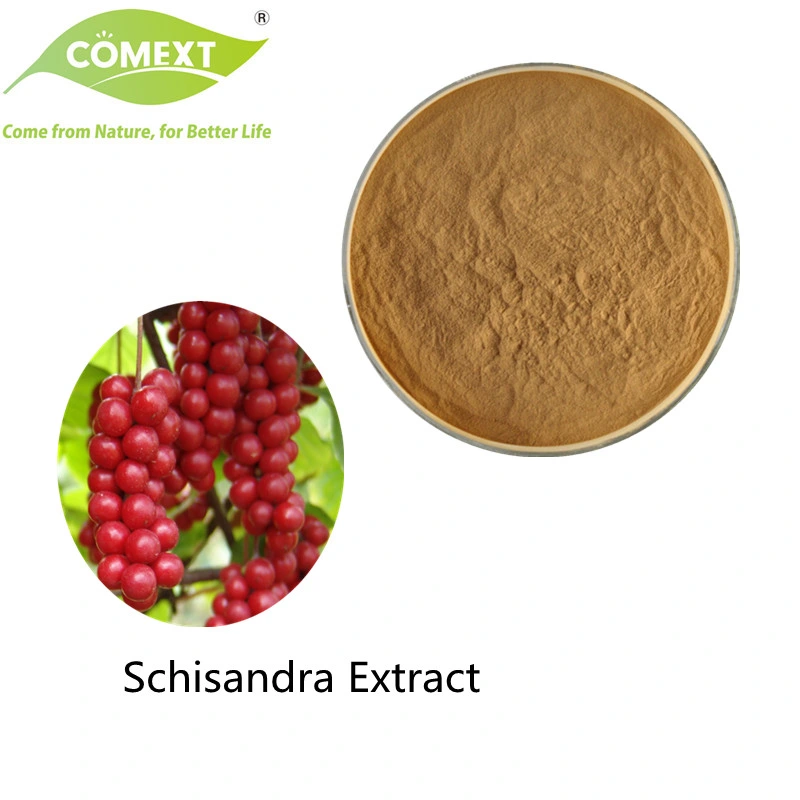 Comext Mantacturer muestra de comida gratuita de calidad superior Grado 100% Natural 1%-5% Schisandrins Schisandra chinensis